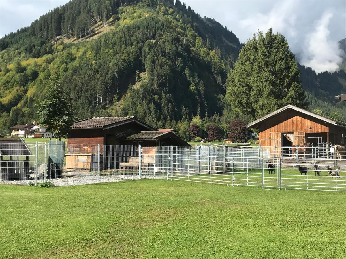 Appartement Pony-Ziegen-Hasen-Ranch Bichlbach Extérieur photo