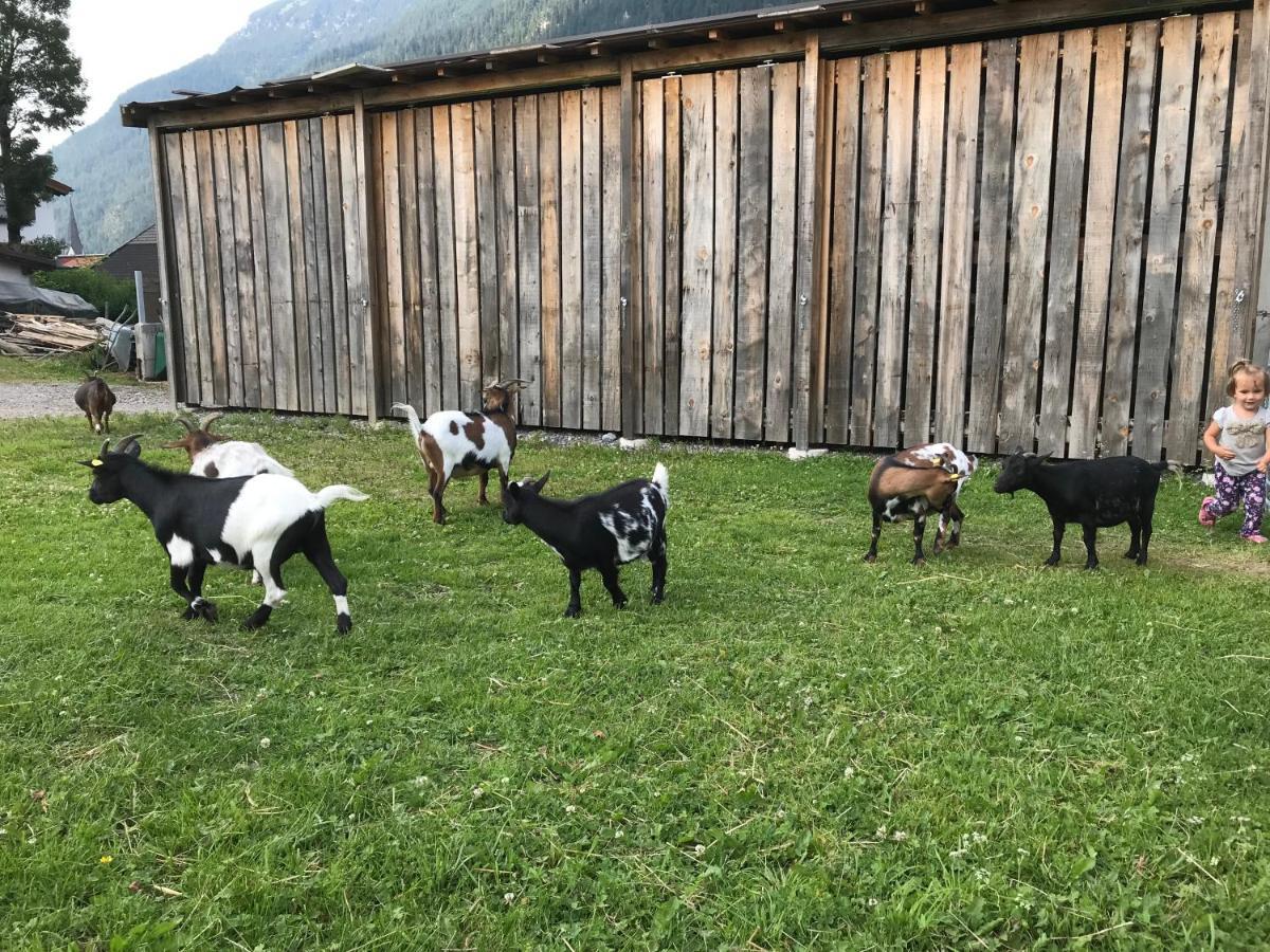 Appartement Pony-Ziegen-Hasen-Ranch Bichlbach Extérieur photo